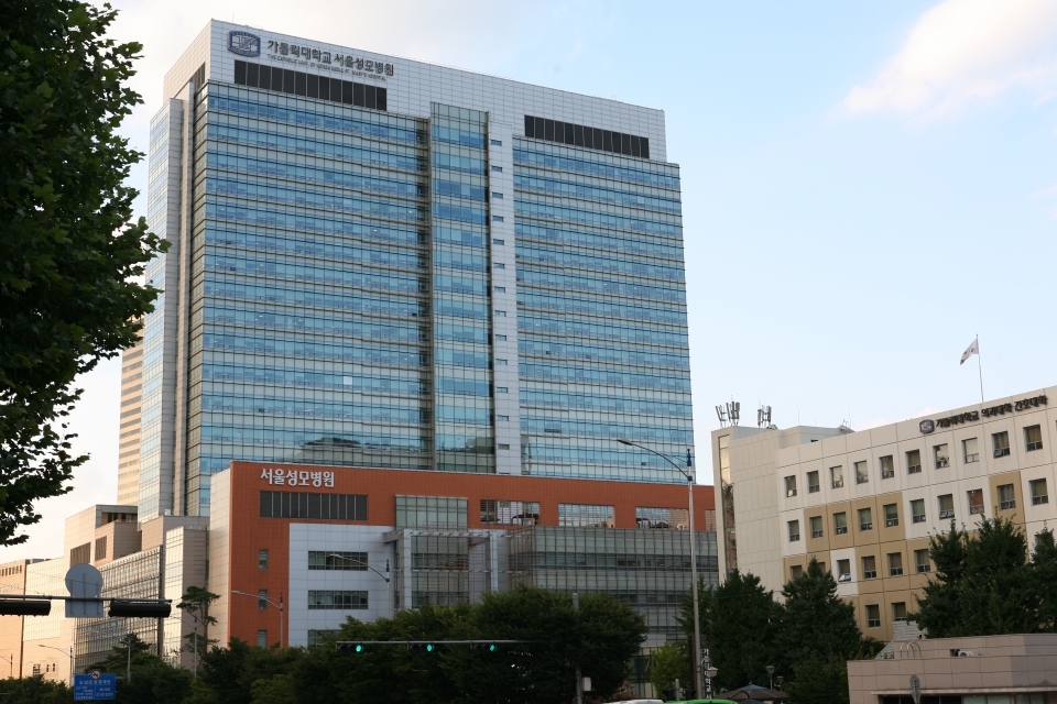 서울 성모병원