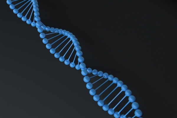 DNA 구조. 출처: Fotolia